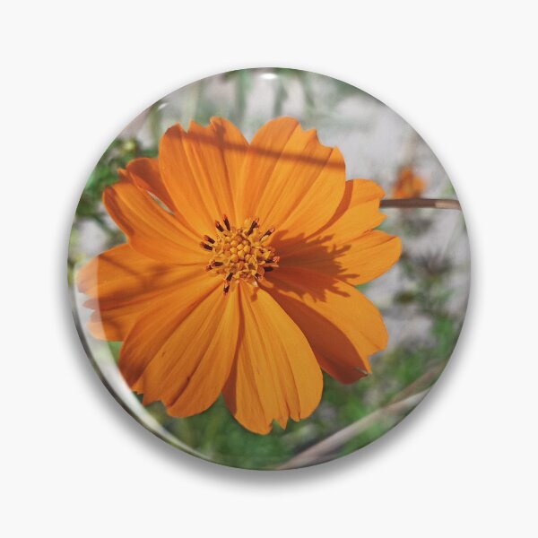 Item preview, Orange Cosmos designed and sold by wagnerps.