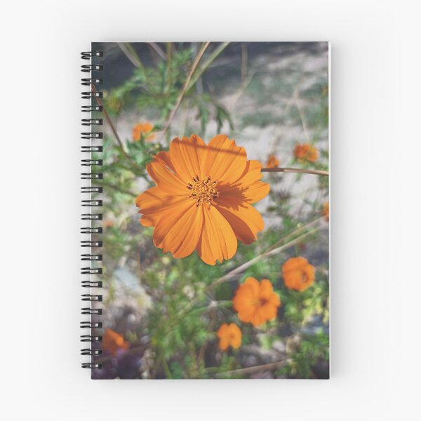 Item preview, Orange Cosmos designed and sold by wagnerps.