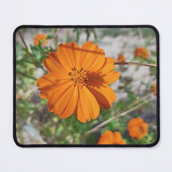Item preview, Orange Cosmos designed and sold by wagnerps.