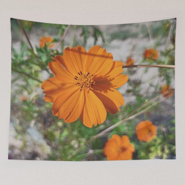 Item preview, Orange Cosmos designed and sold by wagnerps.
