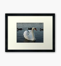 Feng Shui Framed Print