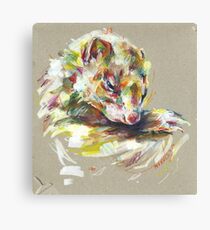 Ferret IV Canvas Print