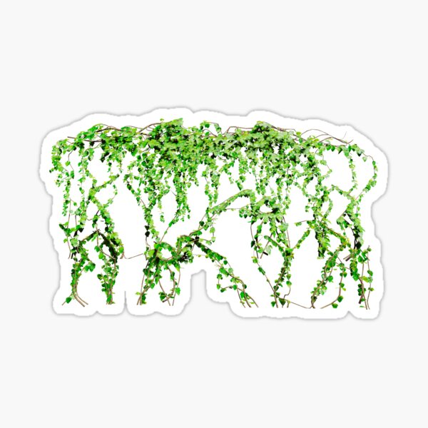Climbing Ivy Vine Sticker