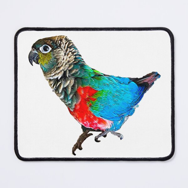 Item preview, Conure - Crimson Bellied- Green Cheek designed and sold by Elarex.