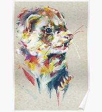 Ferret V Poster