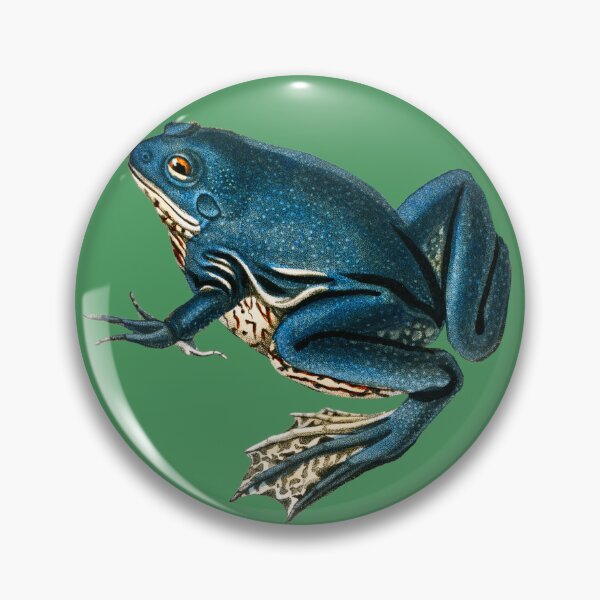 Item preview, Blue Frogs Looking Great on Pop Colored Backgrounds V designed and sold by beddreams.