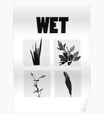 Wet Poster