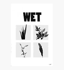 Wet Photographic Print