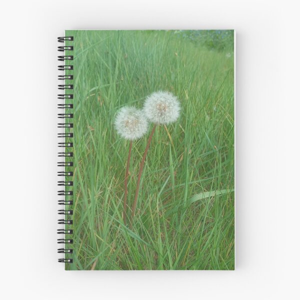 Item preview, Dandelion Heads designed and sold by Teddy Bear Orphans .