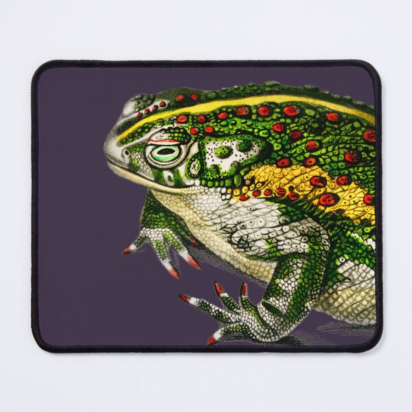 Item preview, Colorful Frogs Looking Great on Pale or Dark Colored Backgrounds I designed and sold by beddreams.