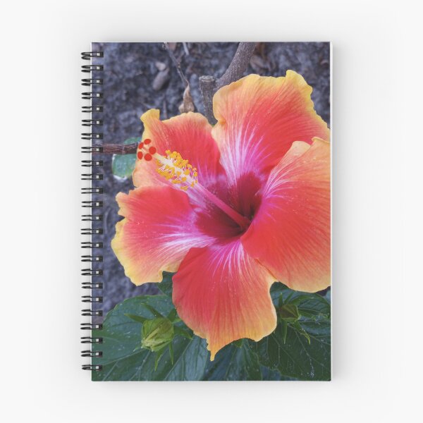 Item preview, Hibiscus Flower  designed and sold by RudyYoder.