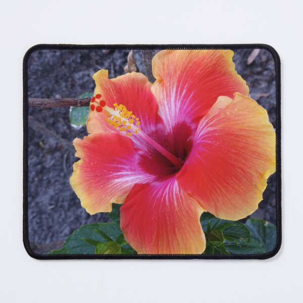 Item preview, Hibiscus Flower  designed and sold by RudyYoder.