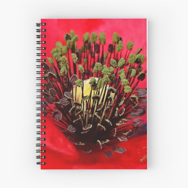 Item preview, Red Poppy Centre designed and sold by AnnDixon.