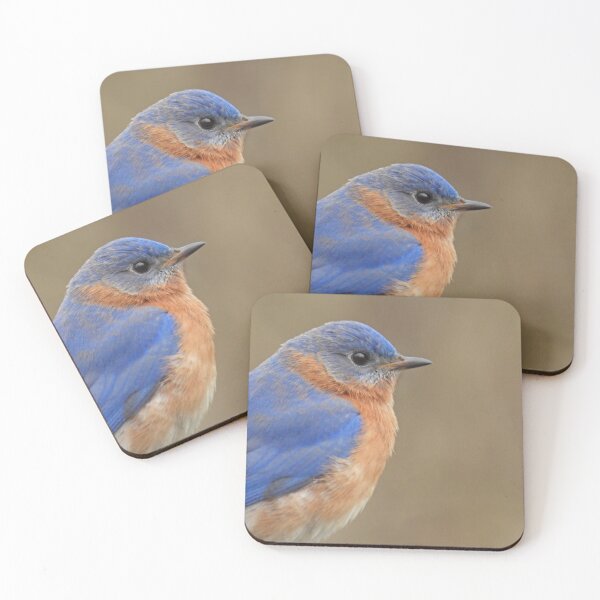 Item preview, Eastern Bluebird Profile designed and sold by TheSplitWindow.