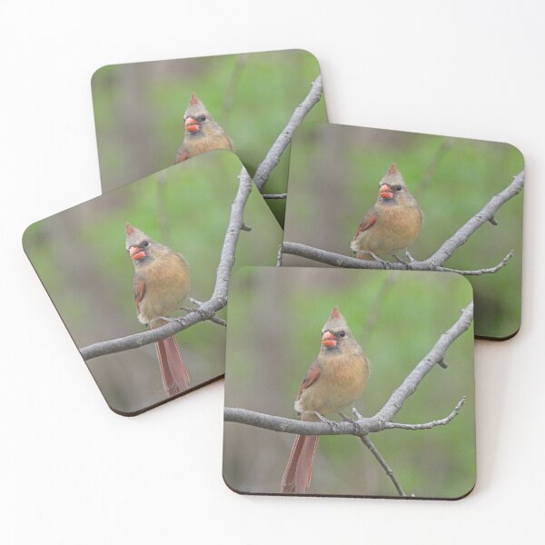 Item preview, Female Cardinal on Branch designed and sold by TheSplitWindow.