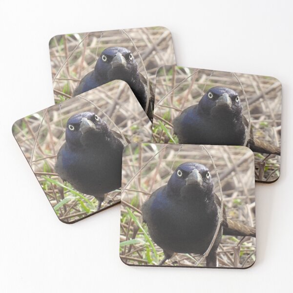 Item preview, Grumpy Grackle Framed designed and sold by TheSplitWindow.