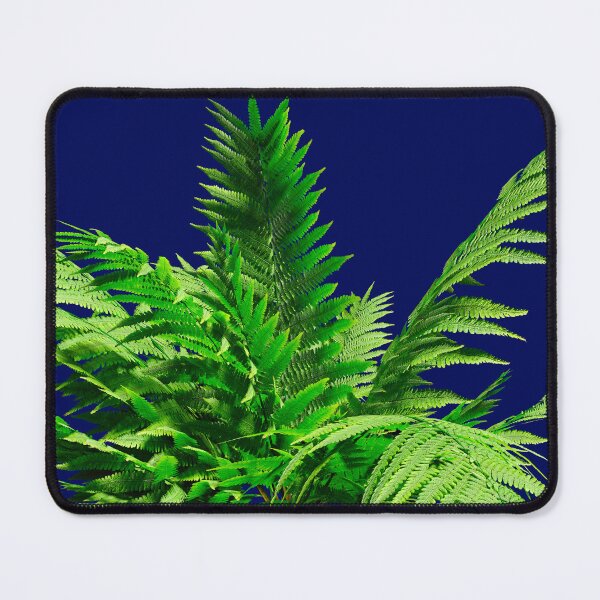 Item preview, Fern leaves designed and sold by bradm50.