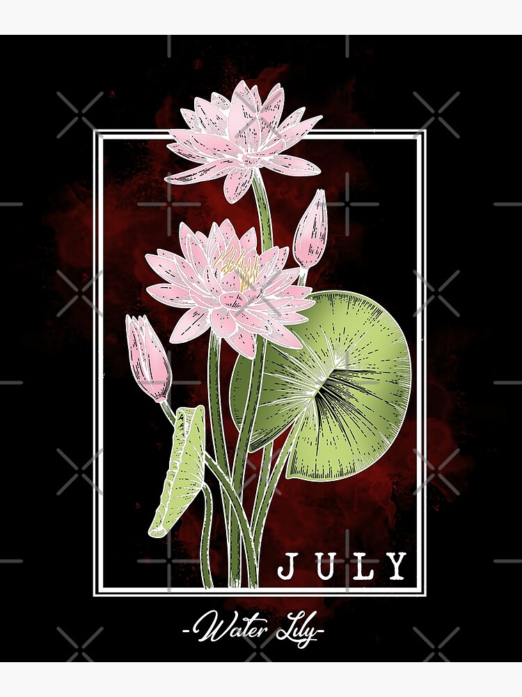"Birth Month Flower July Water Lily Floral Design " Poster for