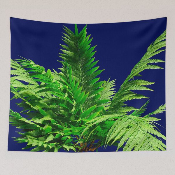 Item preview, Fern leaves designed and sold by bradm50.