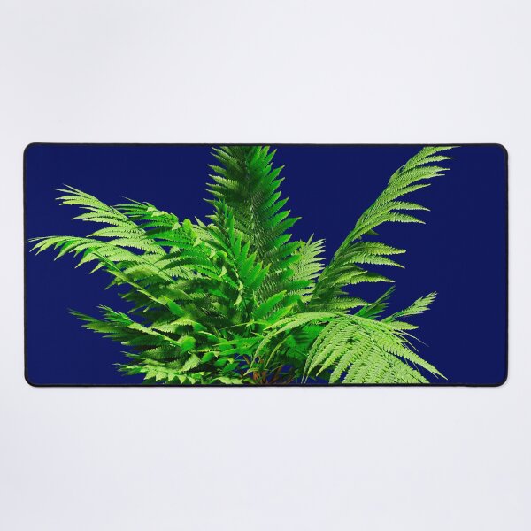 Item preview, Fern leaves designed and sold by bradm50.