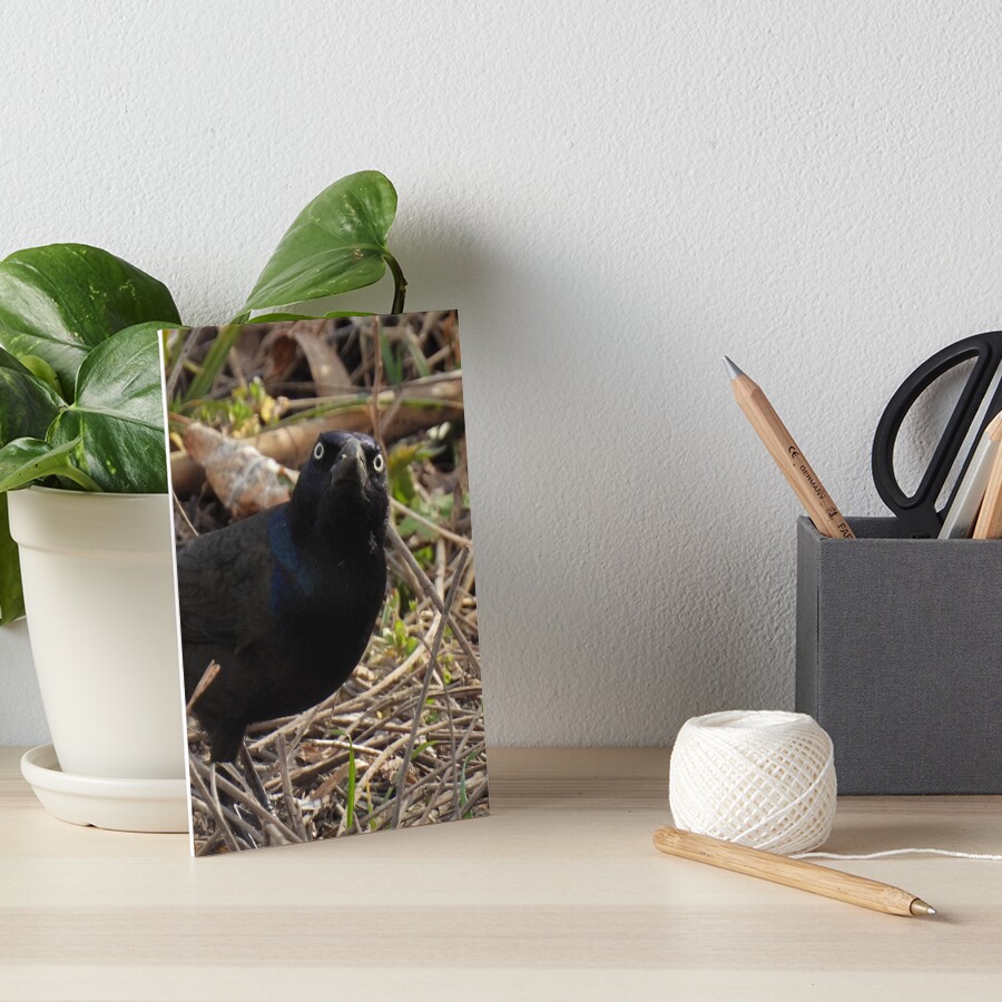 Item preview, Art Board Print designed and sold by TheSplitWindow.