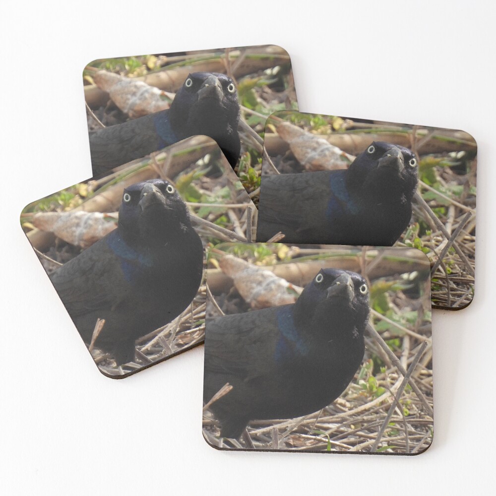 Item preview, Coasters (Set of 4) designed and sold by TheSplitWindow.