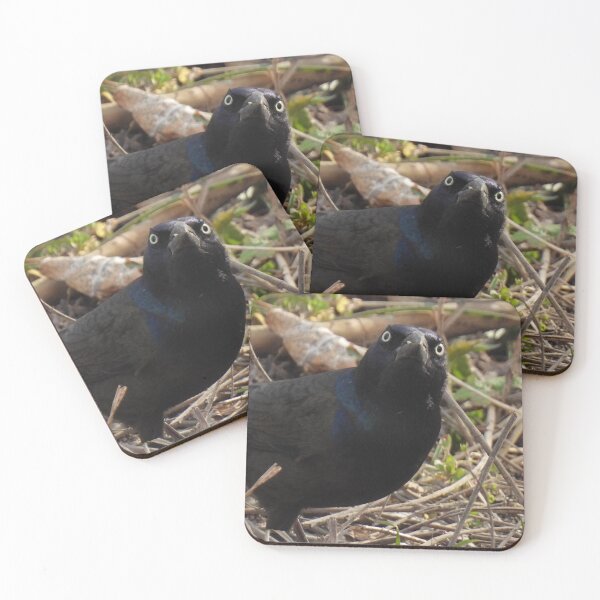 Item preview, Grumpy Grackle designed and sold by TheSplitWindow.