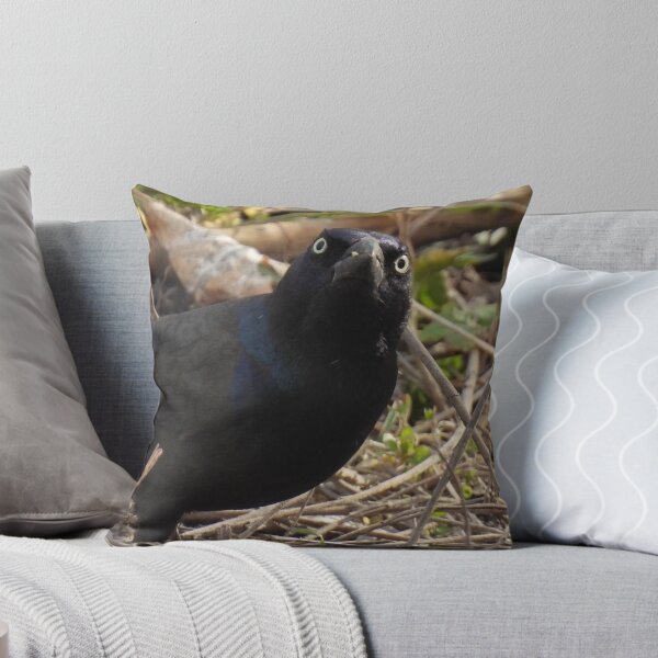 Item preview, Grumpy Grackle designed and sold by TheSplitWindow.