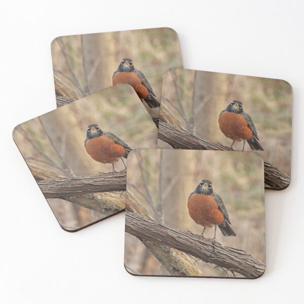 Item preview, Judgmental American Robin on Branch designed and sold by TheSplitWindow.