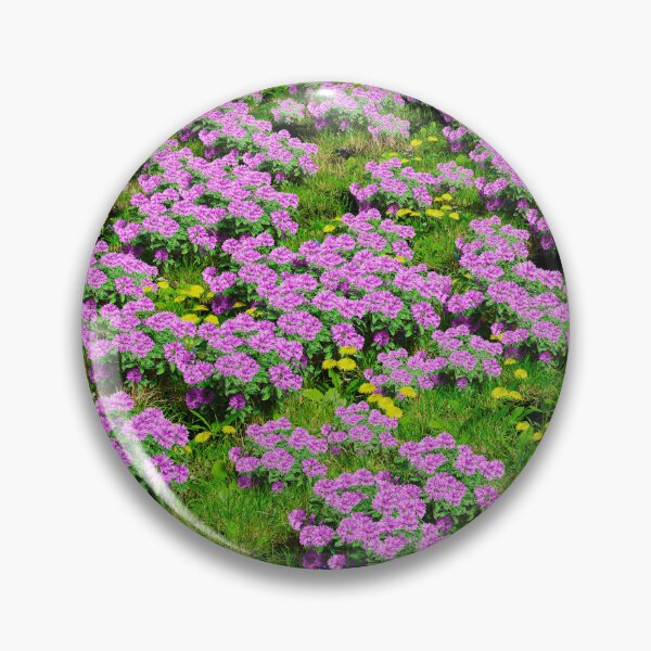 Artikelvorschau, Blumen- und Grasfeld entworfen und verkauft von bradm50.
