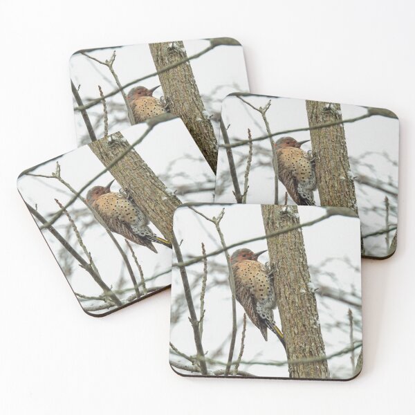 Item preview, Northern Flicker on Snowy Tree designed and sold by TheSplitWindow.