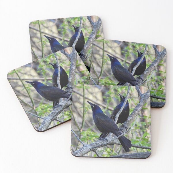 Item preview, Pair of Grackles on Branch designed and sold by TheSplitWindow.