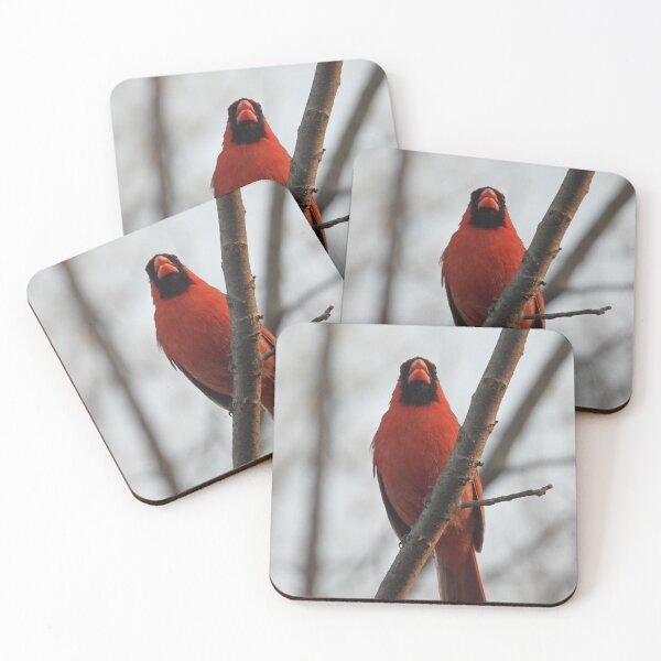 Item preview, Singing Male Cardinal on Branch designed and sold by TheSplitWindow.