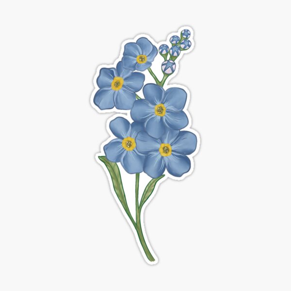 Myosotis Forget me not flower Art Board Print for Sale by LoraLoo