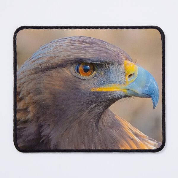 Item preview, Eagle designed and sold by MorningFive.