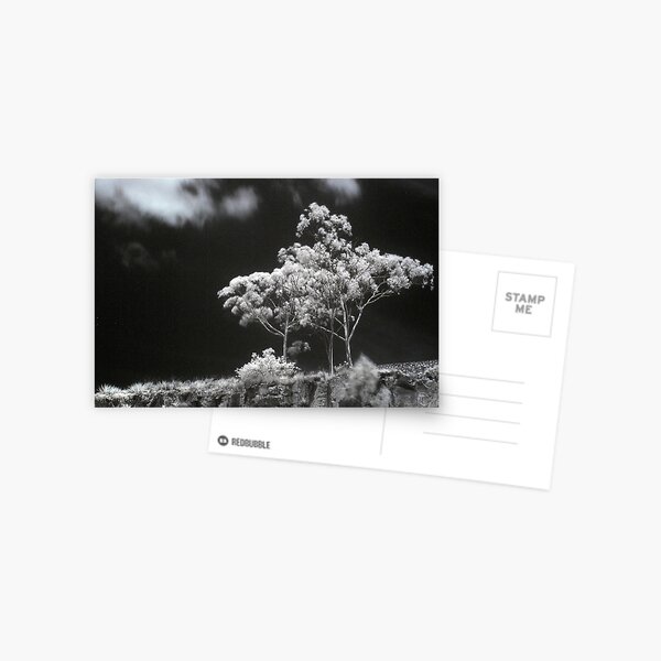 The White Spire Postcard
