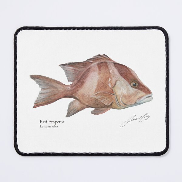 Item preview, Fish Painting - Red Emperor Fish Art Watercolour. Fish Hat!Rachael Curry  designed and sold by RachaelCurryArt.