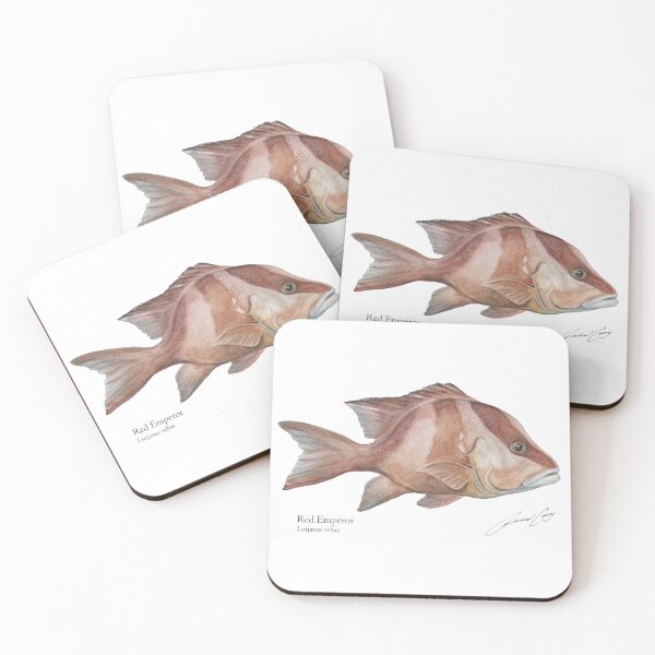 Item preview, Fish Painting - Red Emperor Fish Art Watercolour. Fish Hat!Rachael Curry  designed and sold by RachaelCurryArt.