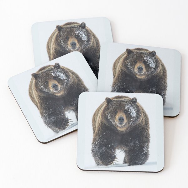 Item preview, Grizzly Bear designed and sold by MorningFive.