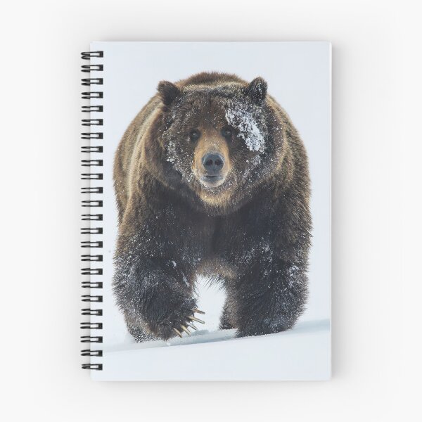 Item preview, Grizzly Bear designed and sold by MorningFive.