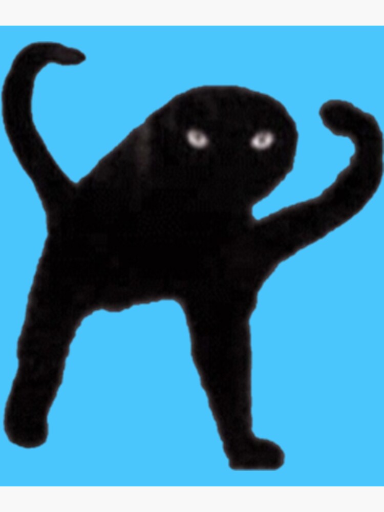  Cursed Cat Memes: Cursed Cat Angry As Fuk Meme Long Sleeve  T-Shirt : Clothing, Shoes & Jewelry