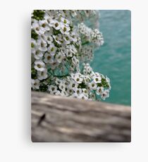 French Flowers Canvas Print