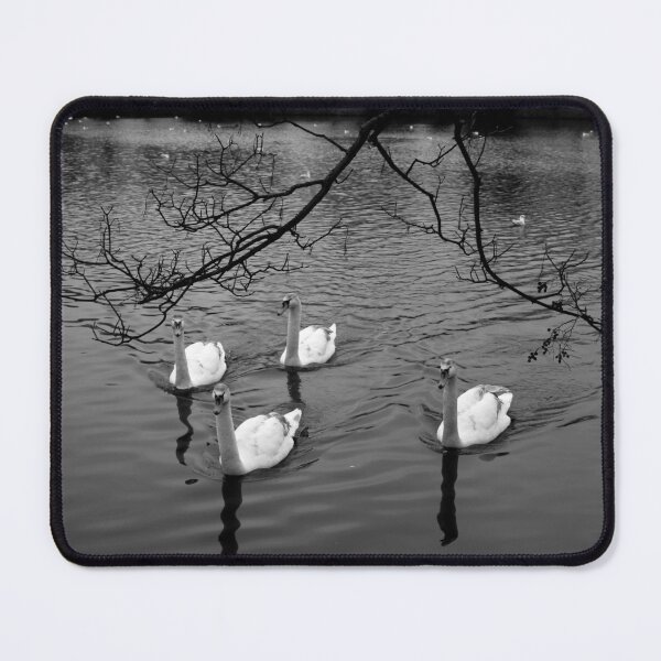 Item preview, four swans designed and sold by Perggals© - Stacey Turner.