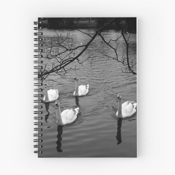 Item preview, four swans designed and sold by Perggals© - Stacey Turner.