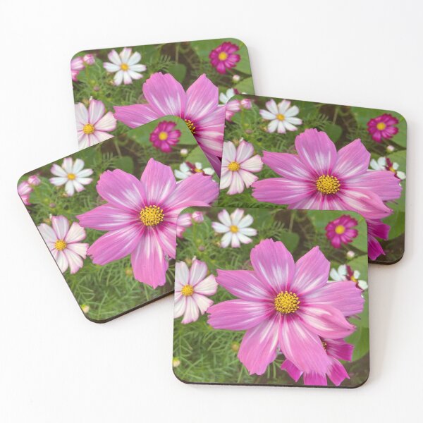 Item preview, Gorgeous pink cosmos designed and sold by Trianglegreen.