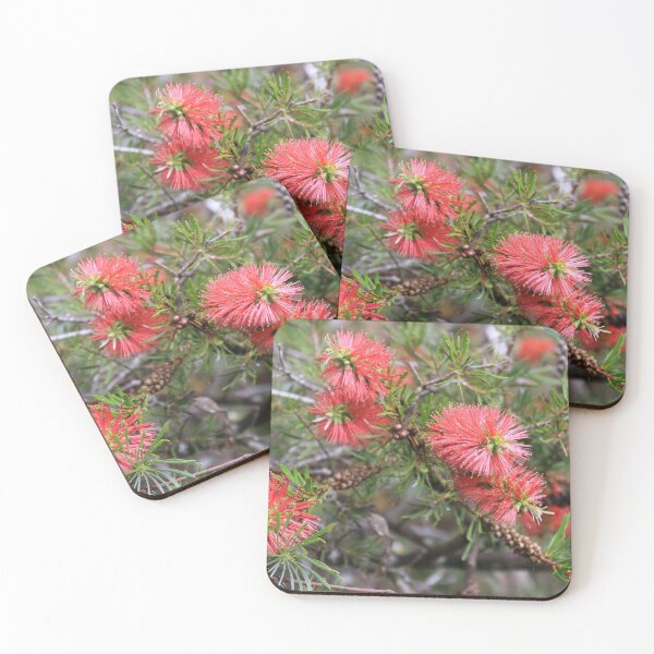 Item preview, Beautiful deep pink Australian bottlebrush designed and sold by FranWest.