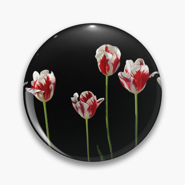 Item preview, Tulips 02 designed and sold by Jürgen Henkelmann.