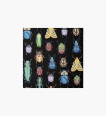 Entomology Art Board