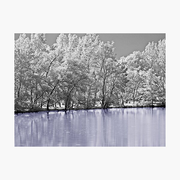 Dreaming Of Winter Photographic Print