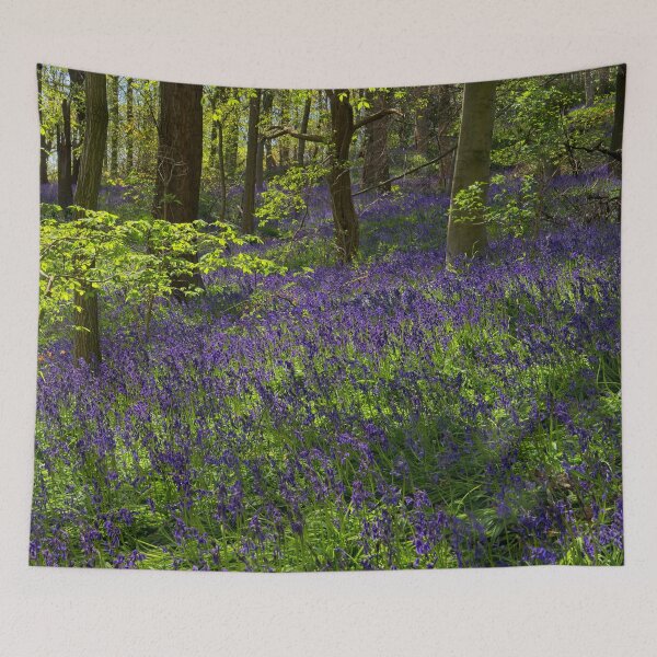Item preview, Spring Bluebell Woodlands designed and sold by Martyn R Arnold Fine Art Nature & Landscape Photography.